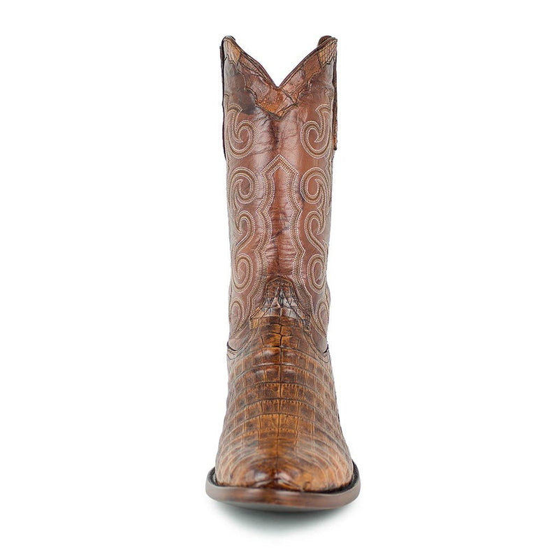Rodeo Caiman Belly Cognac - Sendra Boots